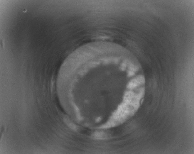 X0000081310177200702082120