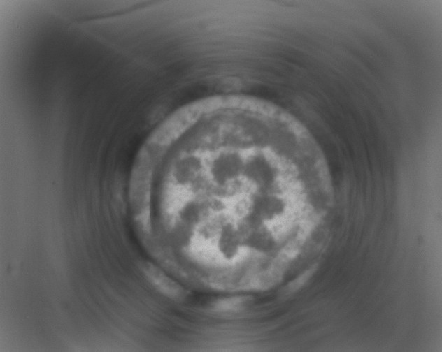 X0000081310178200702082120