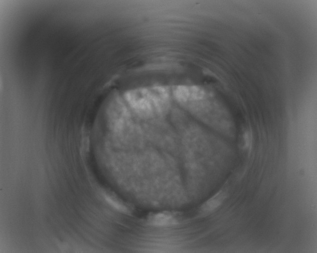 X0000081310180200702082120