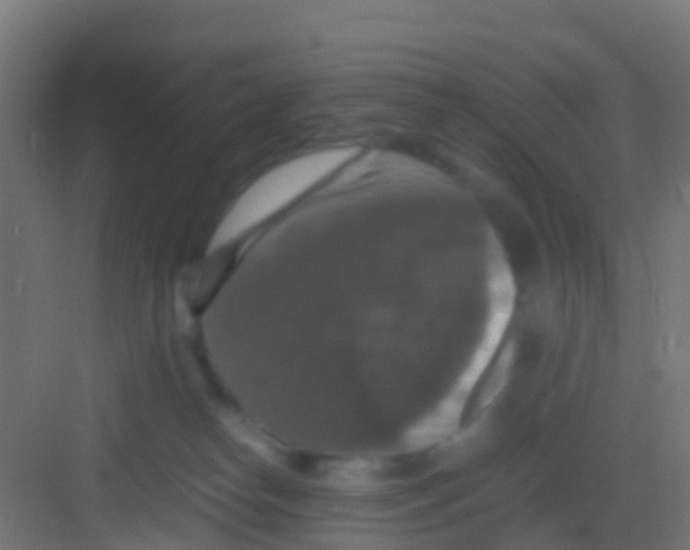 X0000081310182200702082120