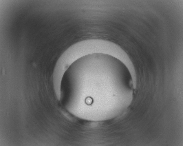 X0000081310184200702082120