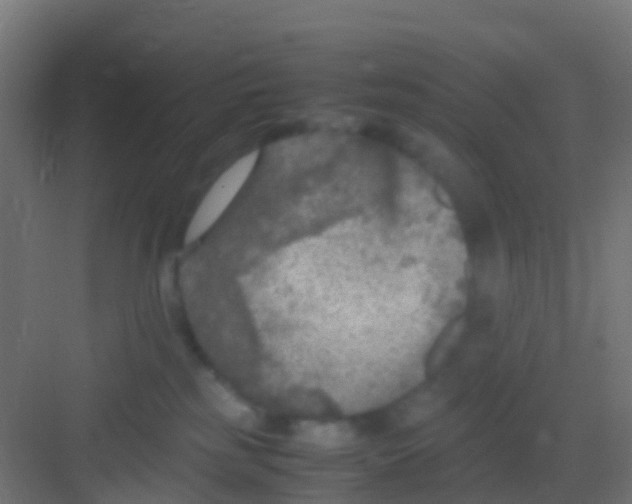 X0000081310185200702082120