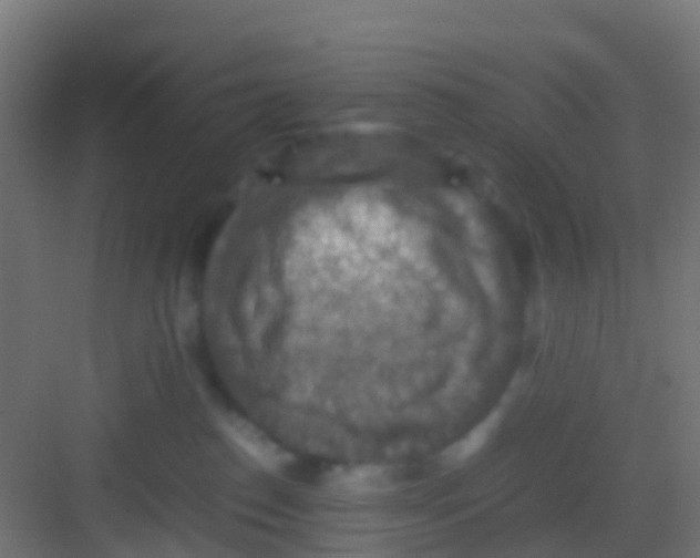 X0000081310186200702082120