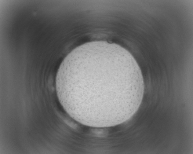 X0000081310187200702082120