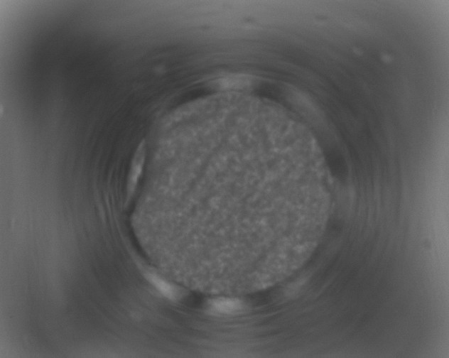 X0000081310189200702082120