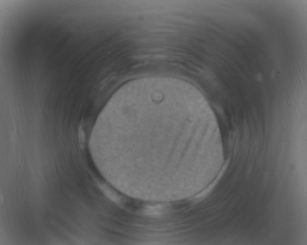 X0000081310190200702082120