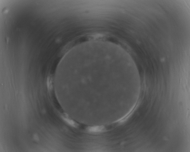 X0000081310191200702082120