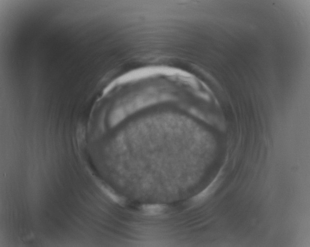 X0000081310192200702082120