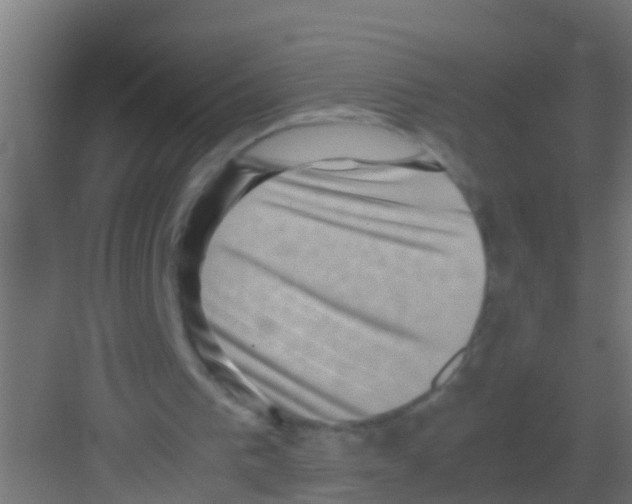 X0000081310193200702082119