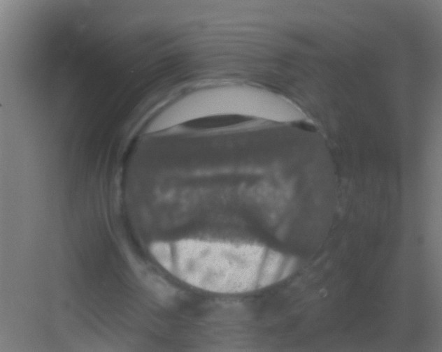 X0000081310194200702082119