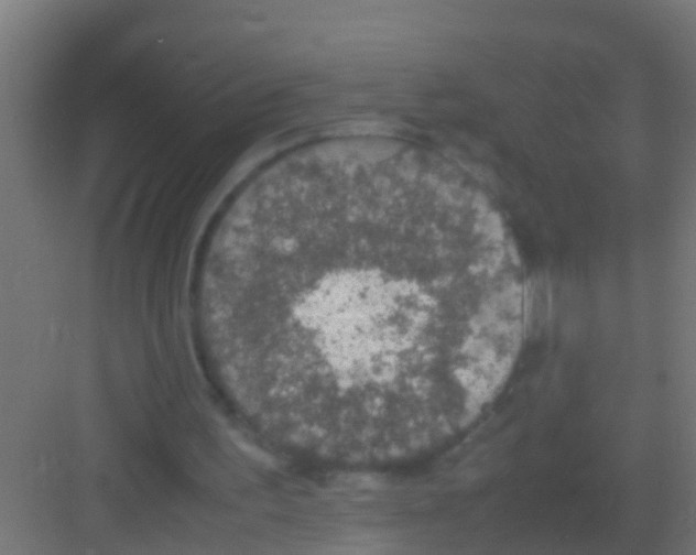 X0000081310195200702082119