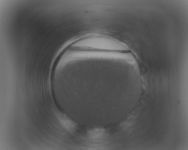 X0000081310196200702082119