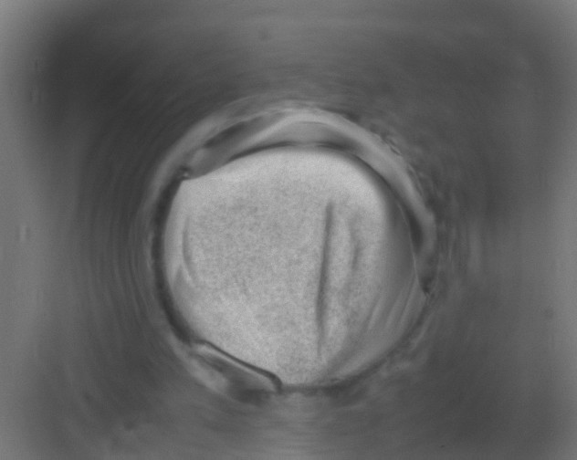 X0000081310197200702082119