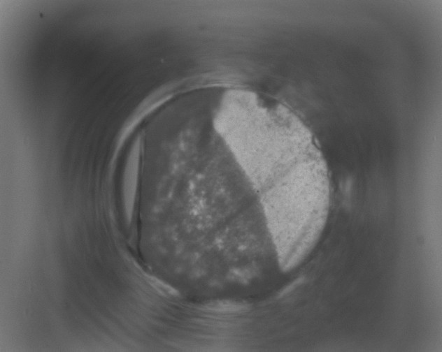 X0000081310198200702082119