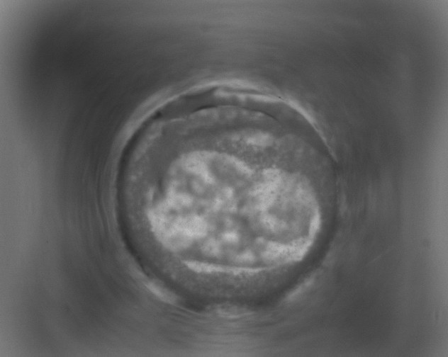 X0000081310199200702082119