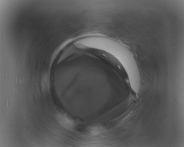 X0000081310200200702082119