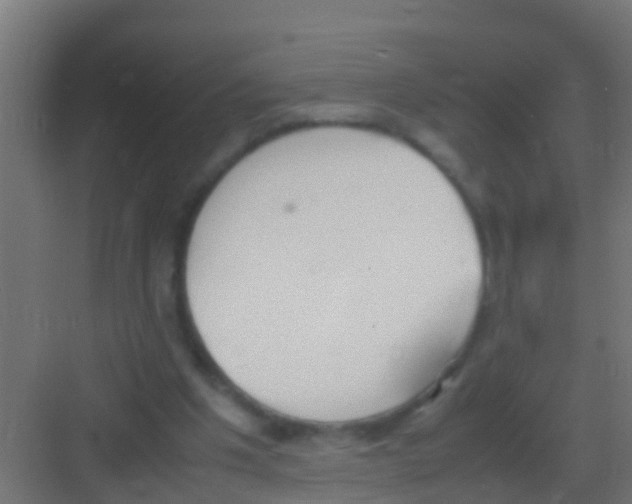 X0000081310201200702082119