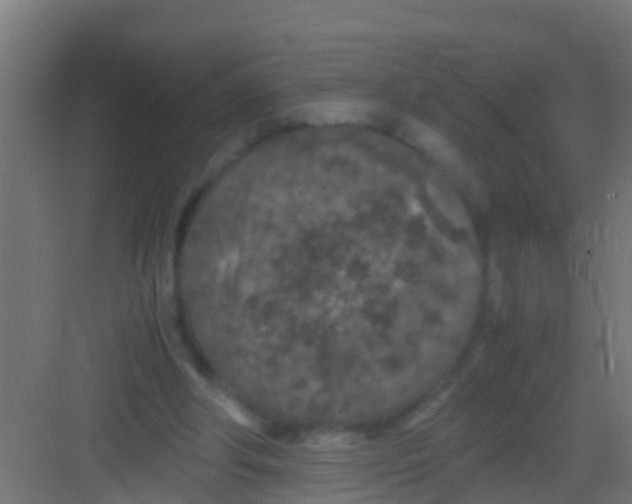 X0000081310202200702082119