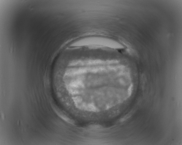 X0000081310203200702082119