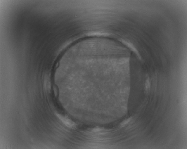 X0000081310204200702082119