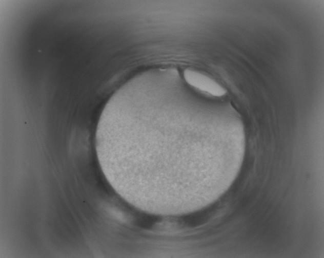 X0000081310211200702082119