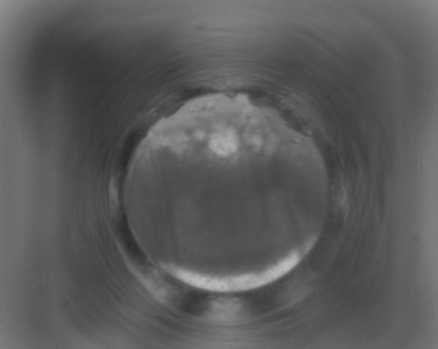 X0000081310214200702082119