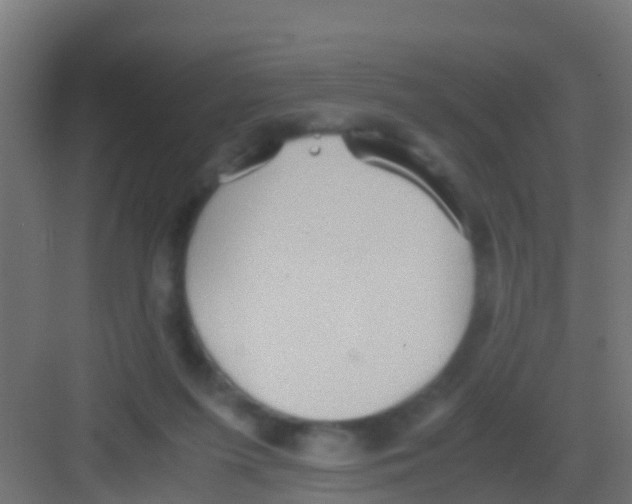 X0000081310215200702082119