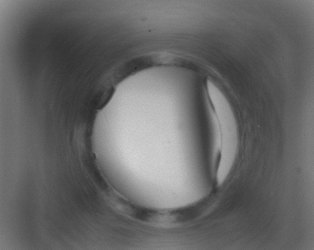 X0000081310217200702082119