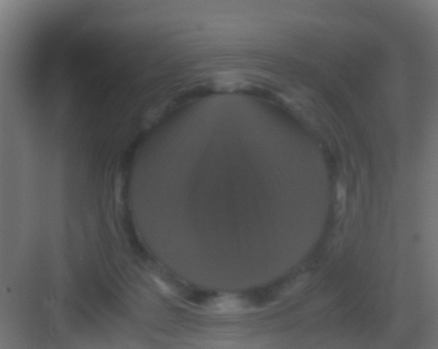 X0000081310219200702082119