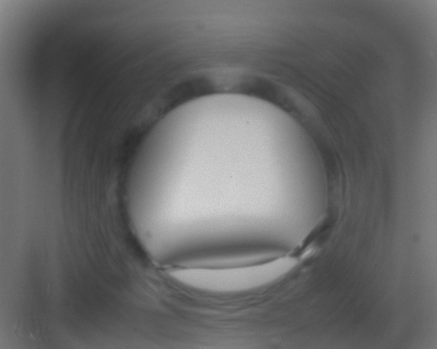 X0000081310221200702082118