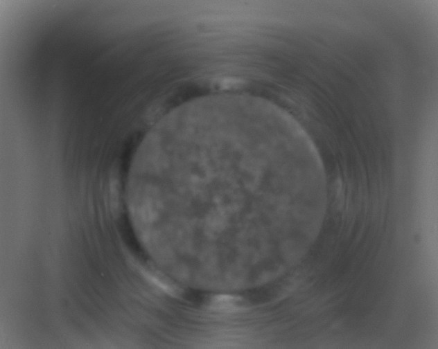 X0000081310222200702082118