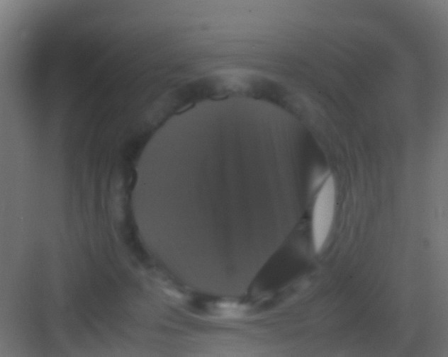 X0000081310223200702082118