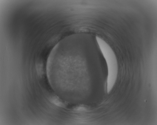 X0000081310224200702082118