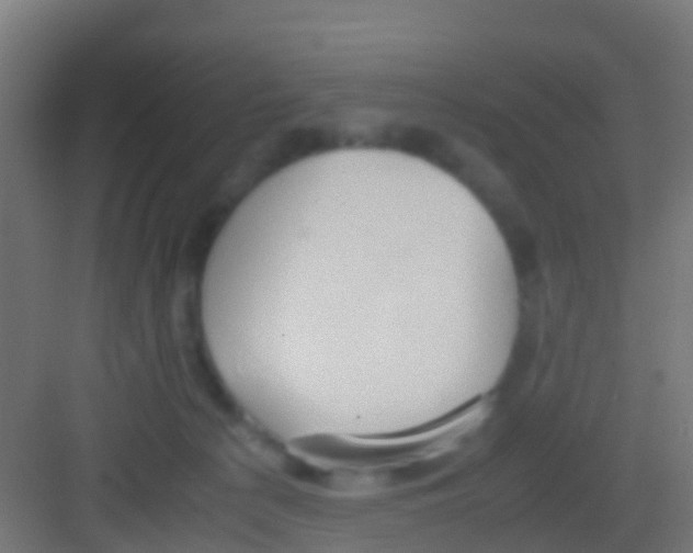 X0000081310225200702082118