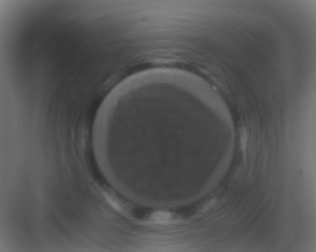 X0000081310227200702082118