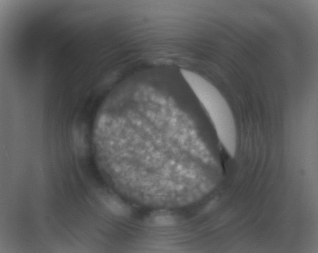 X0000081310228200702082118