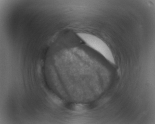 X0000081310229200702082118