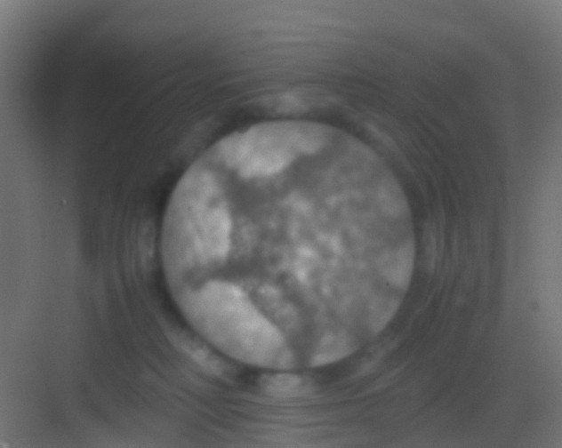 X0000081310230200702082118