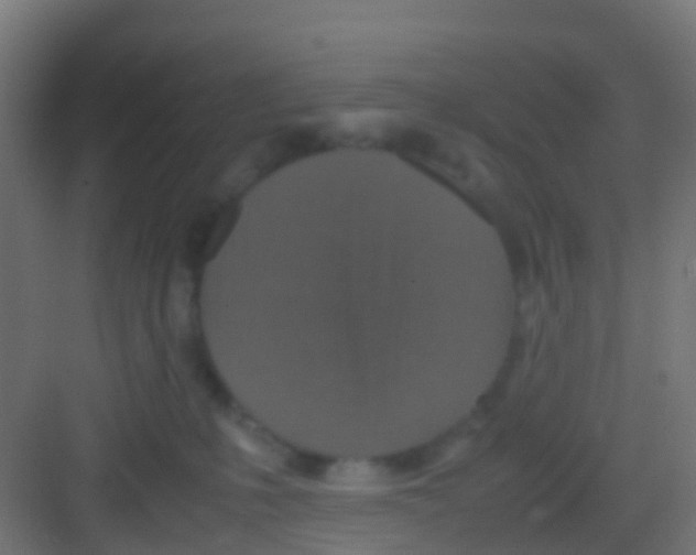 X0000081310231200702082118