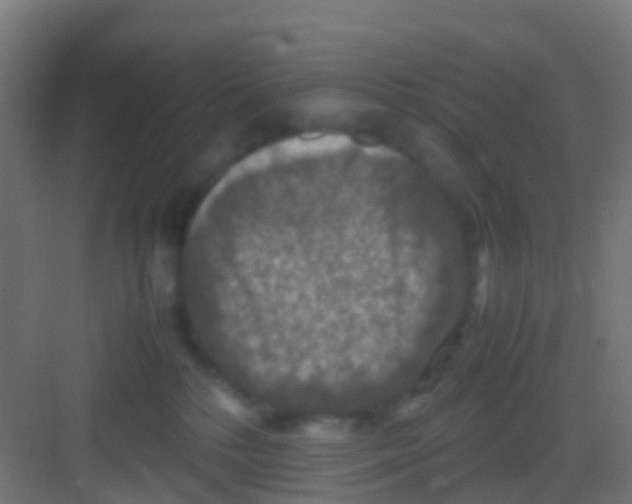 X0000081310232200702082118