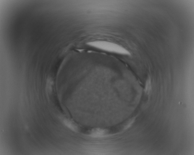 X0000081310235200702082118