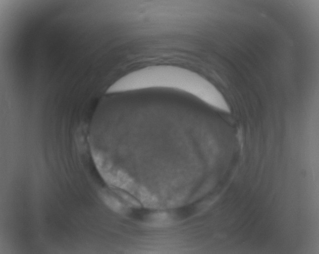 X0000081310237200702082118