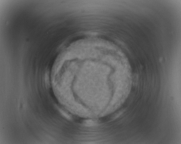 X0000081310238200702082118