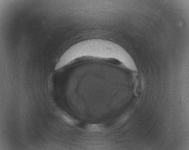 X0000081310239200702082118