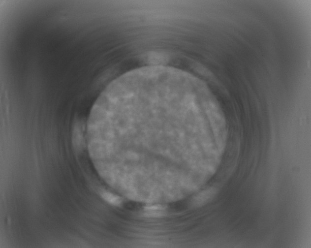 X0000081310240200702082118