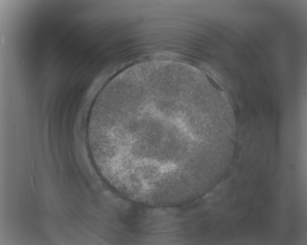 X0000081310241200702082117