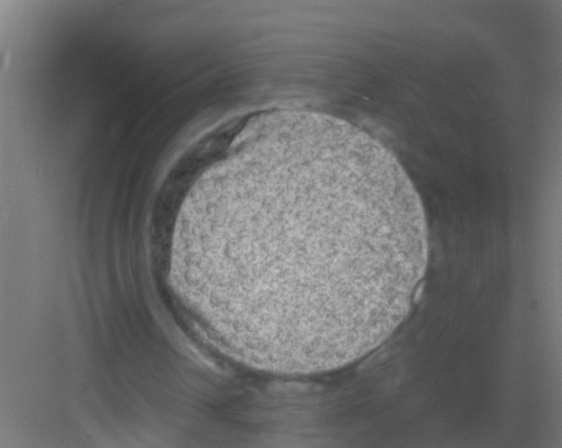 X0000081310242200702082117