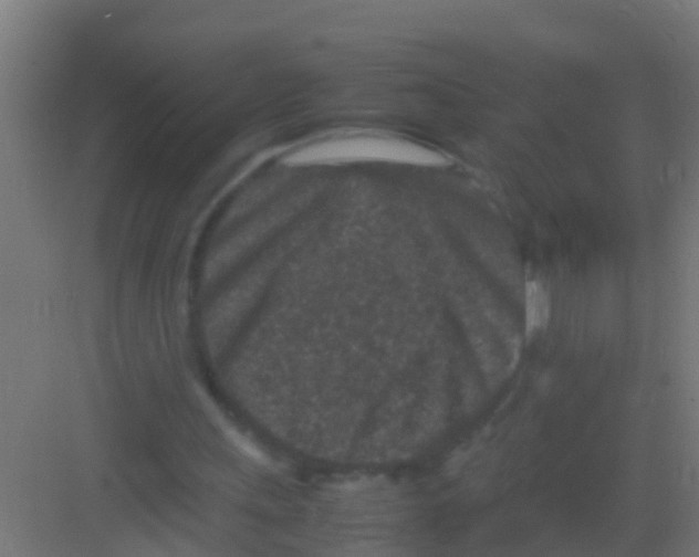 X0000081310243200702082117