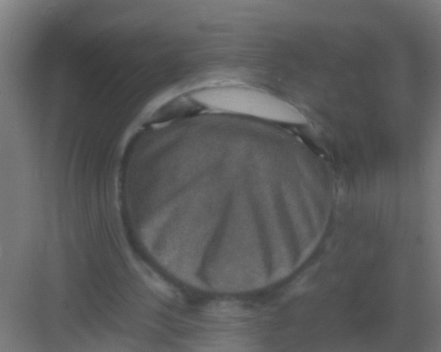 X0000081310244200702082117