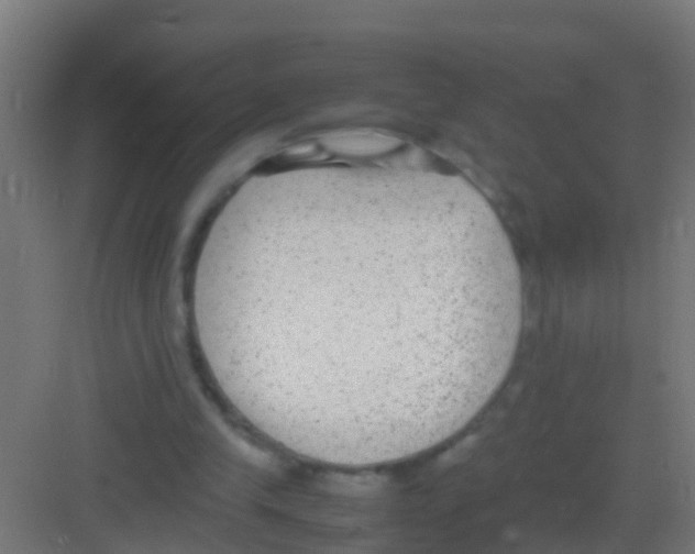 X0000081310245200702082117